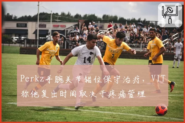 Perkz手腕关节错位保守治疗，VIT称他复出时间取决于疼痛管理