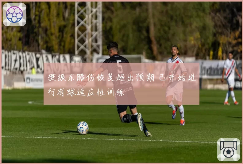 樊振东膝伤恢复超出预期 已开始进行有球适应性训练